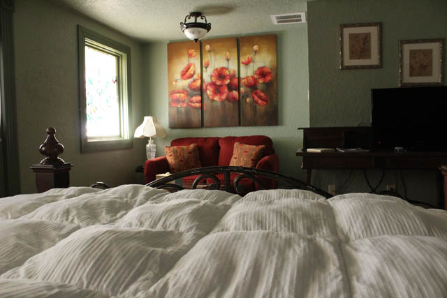 Silver Sycamore Bed & Breakfast 